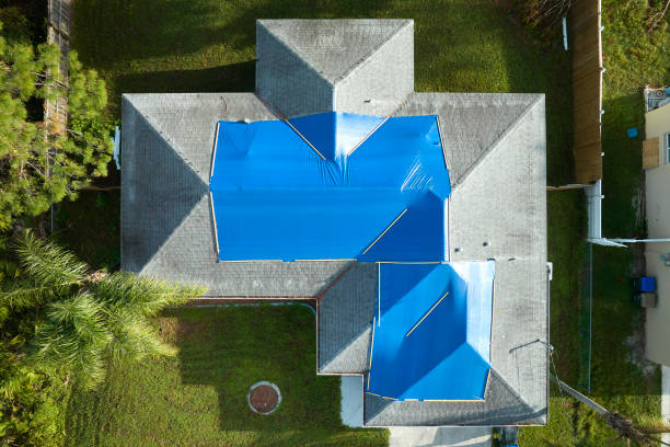Best Green or Eco-Friendly Roofing Solutions  in Posen, IL