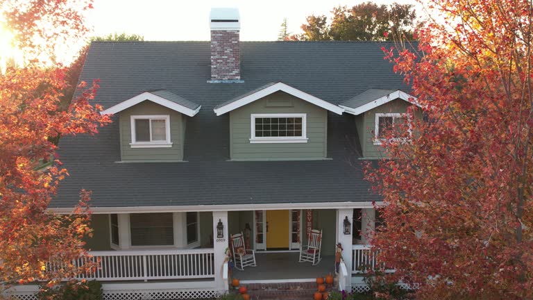 Best Metal Roofing Installation  in Posen, IL