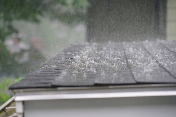 Best Roof Leak Repair  in Posen, IL