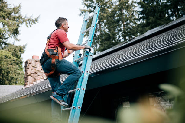 Best Roof Moss and Algae Removal  in Posen, IL
